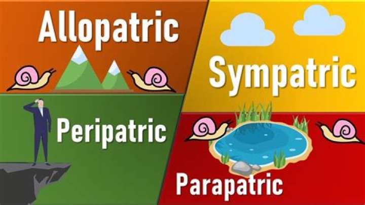 What does allopatric mean?