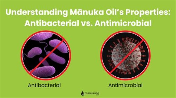 What does antibacterial mean?