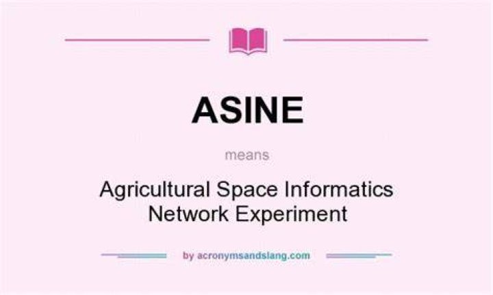 What does asine mean?