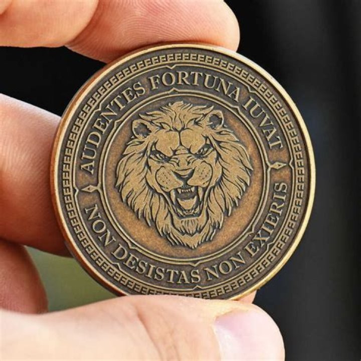 What does audaces fortuna juvat mean?
