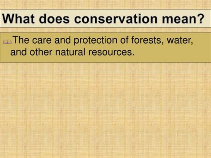 What does conservation mean?