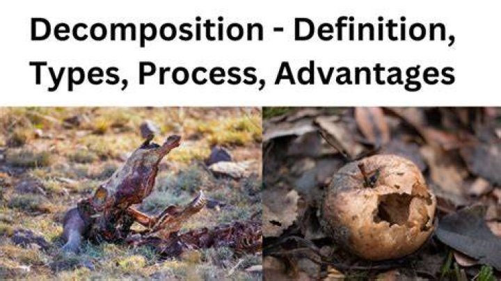 What does decomposition do?
