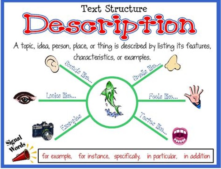 What does description mean?