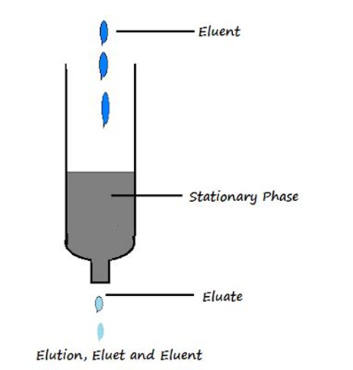 What does elution mean?