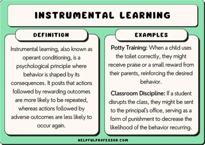 What does instrumentalism approach mean?