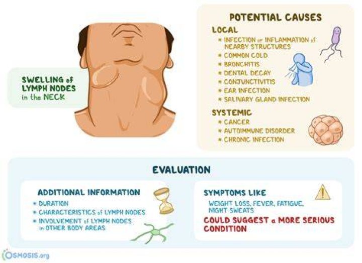 What does lymphadenopathy feel like?