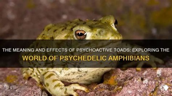 What does psychoactive mean?