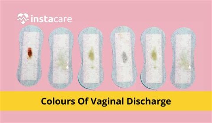 What does scatophagy mean?