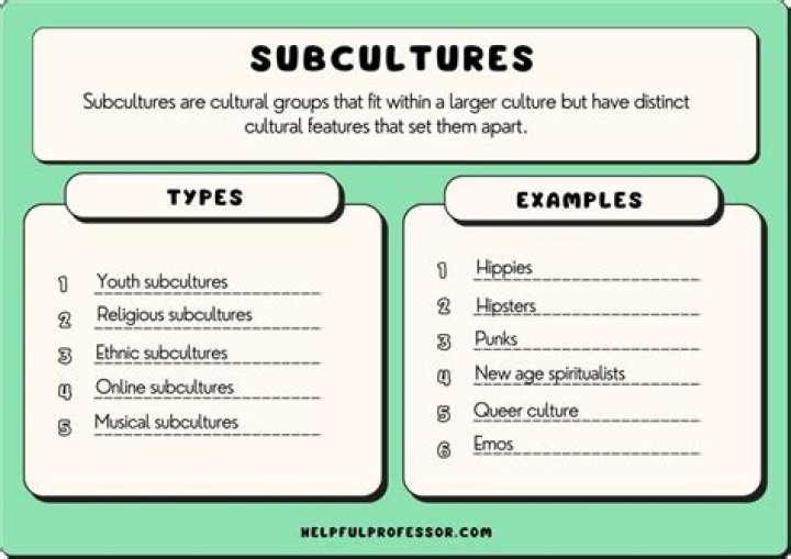 What does subculture mean?
