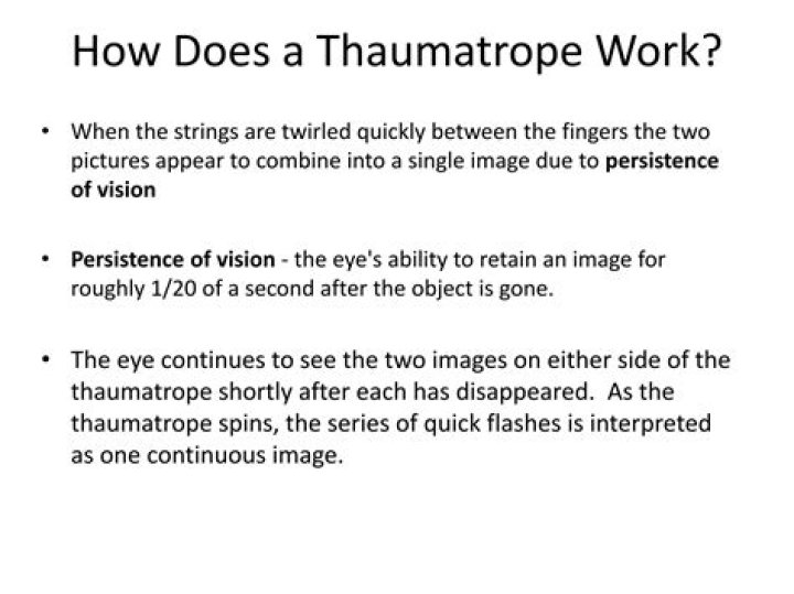 What does thaumatrope mean?