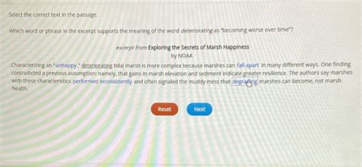 What does the word indecorous mean as it is used in this passage?