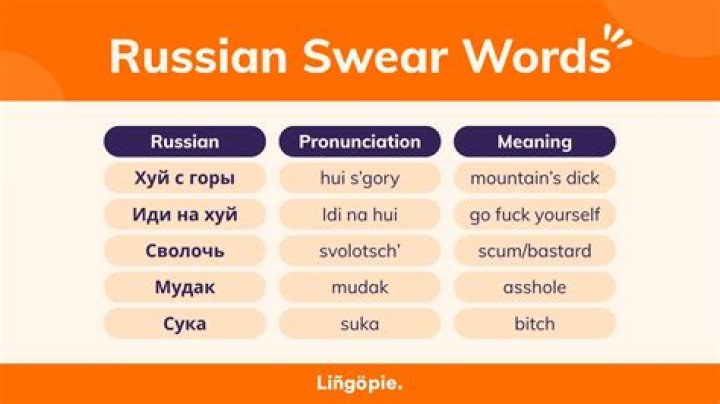 What does the word russophobia mean?