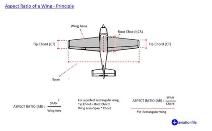 What does wing tip mean?