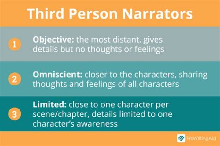 What is 3rd person?
