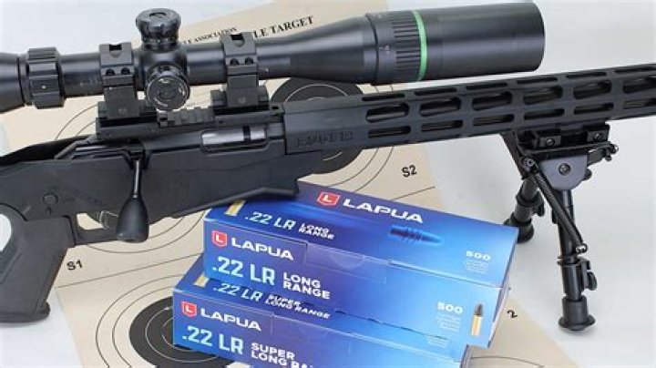 What is a .22 rimfire?