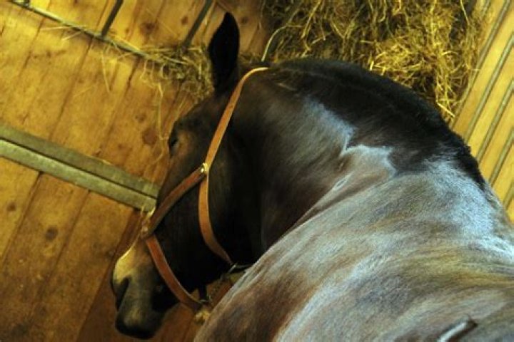 What is a chevaux-de-frise?