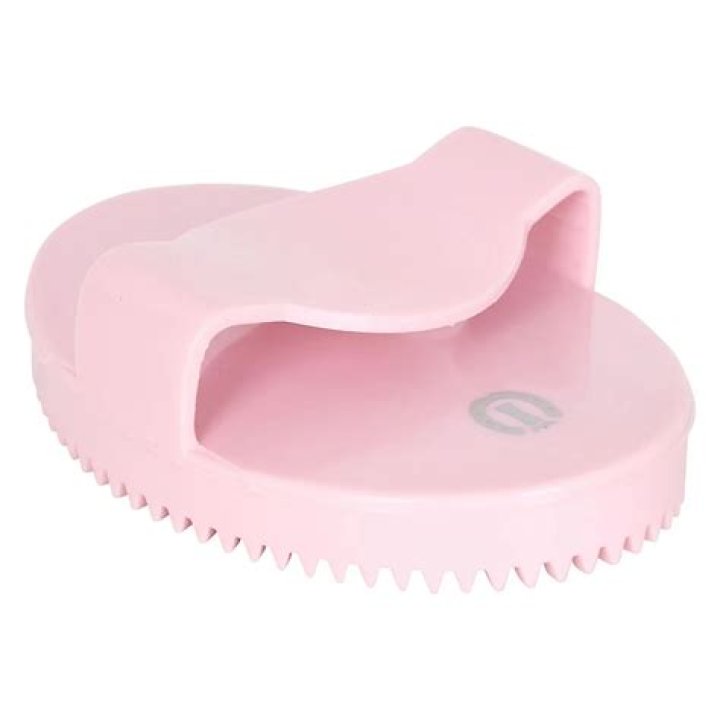 What is a curry comb for horses?