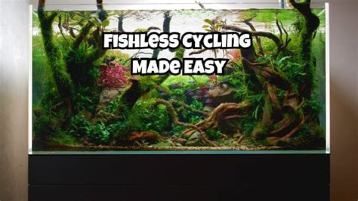 What is a fishless cycle?