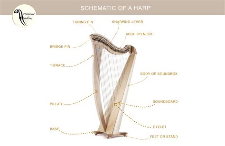 What is a harpist called?