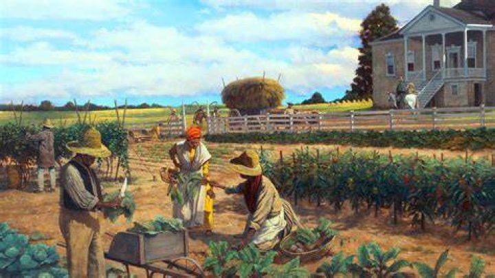 What is a plantation party?