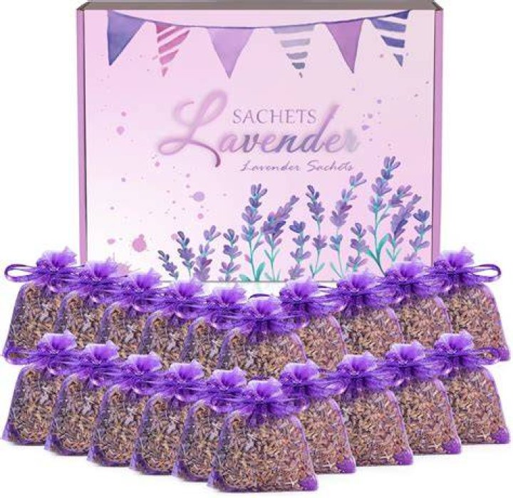 What is a scented lavender?