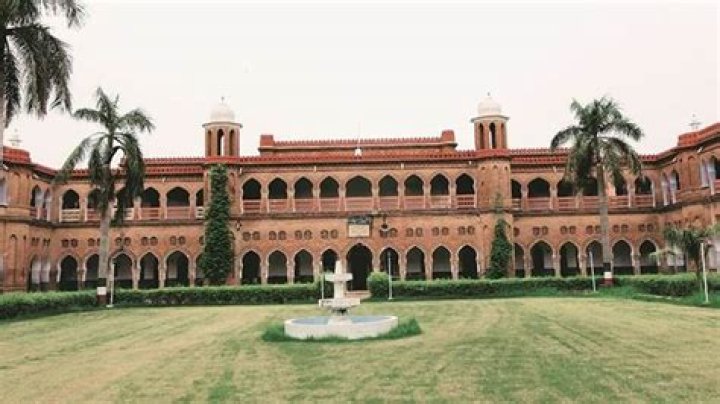 What is aligarh muslim university?