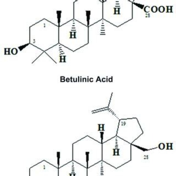 What is betulinic acid?