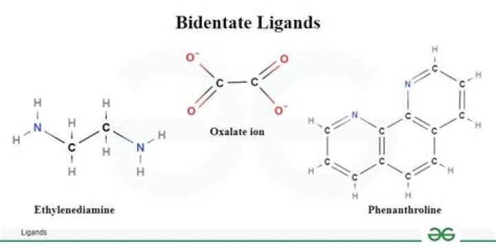 What is bidentate in chemistry?