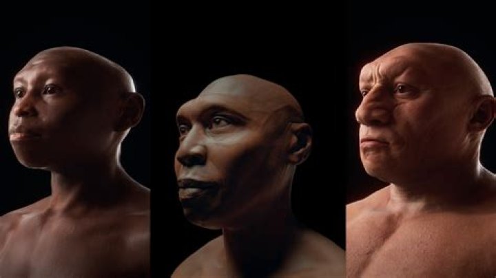 What is bifaces in archaeology?