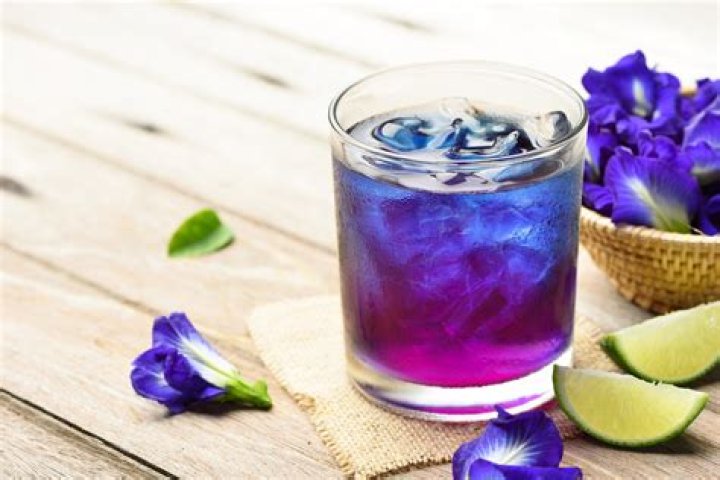 What is butterfly pea?