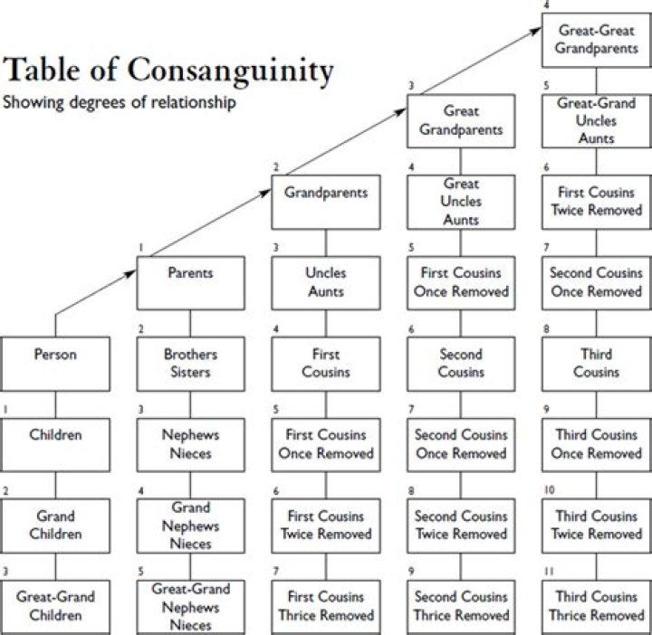 What is consanguineous relationship?