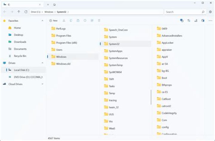 What is file manager?