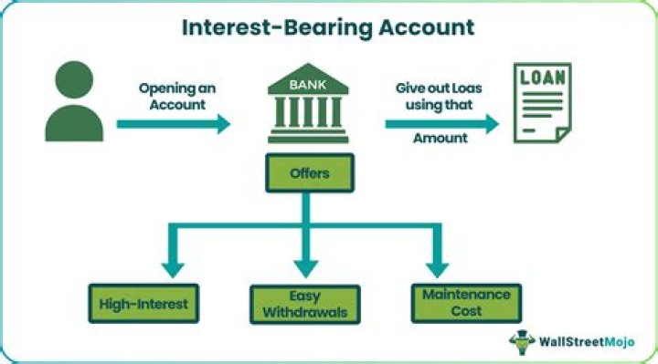 What is hcb interest bearing account?