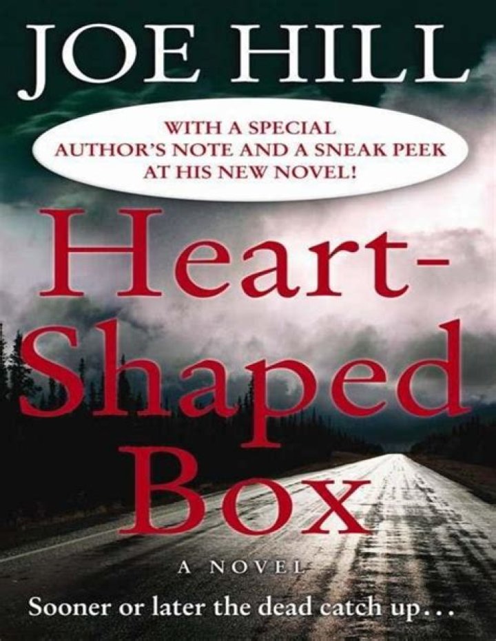 What is heart shaped box book about?