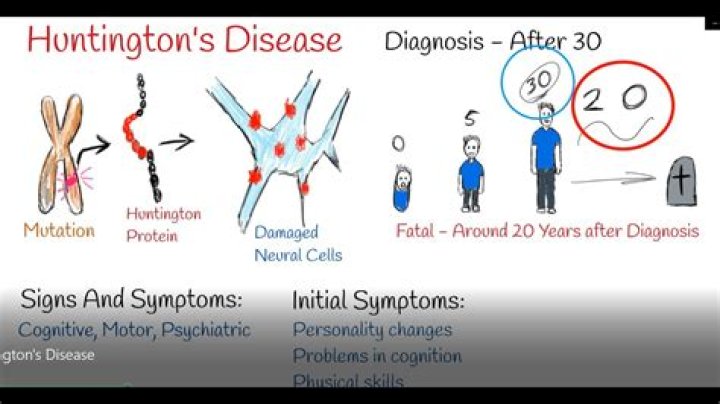 What is hutchins disease?