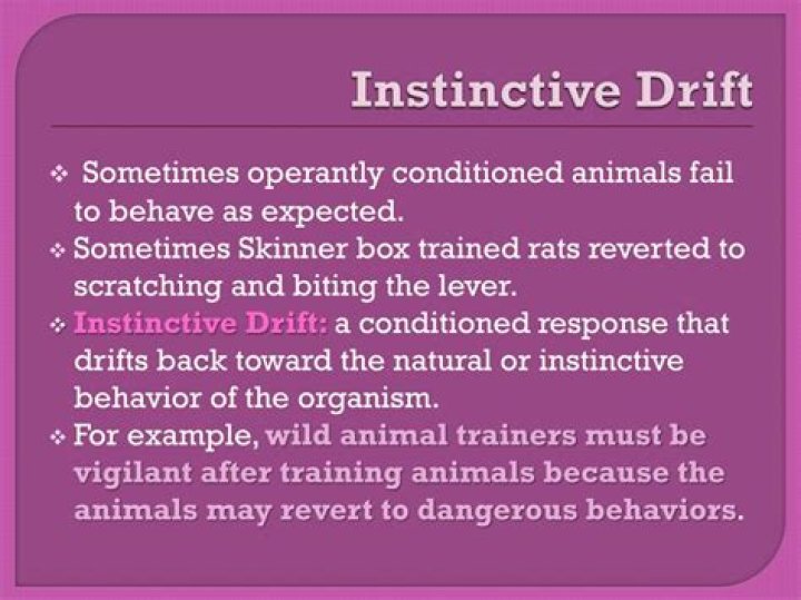 What is instinctive drift?