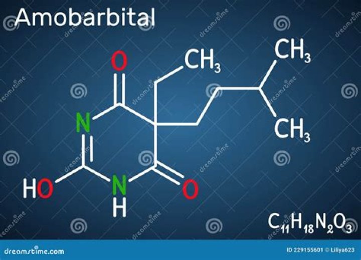 What is intracarotid sodium amobarbital?