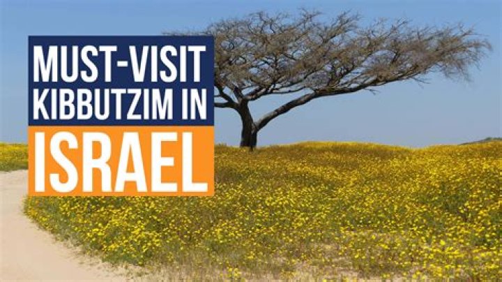 What is kibbutzim in israel?