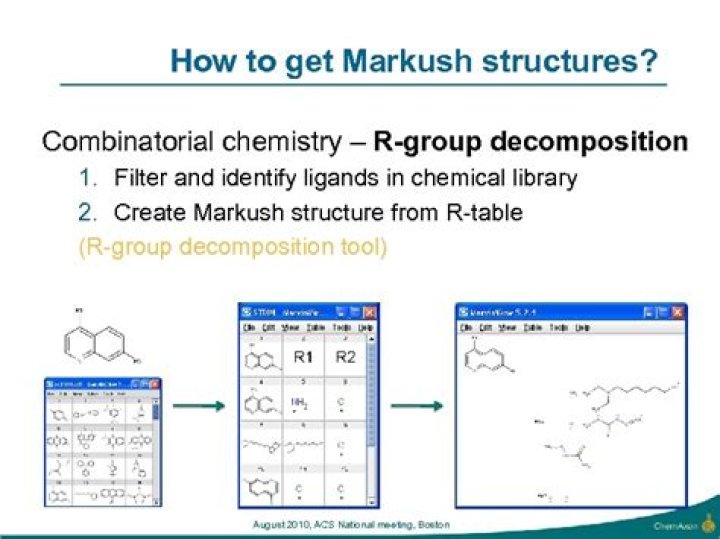 What is markush structure?