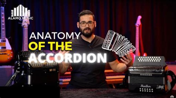 What is meant by accordionist?