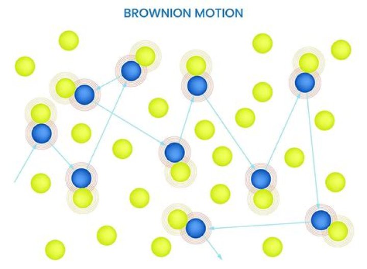 What is meant by brownian motion?