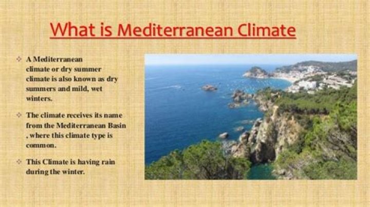 What is mediterranean climate?