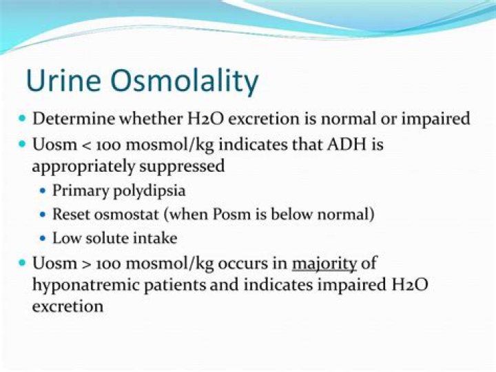 What is osmolality urine?