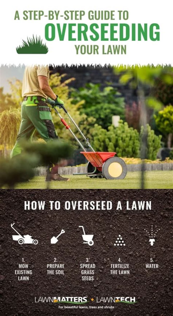 What is overseeded lawn?