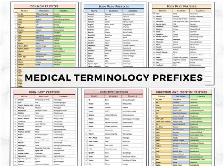 What is panzootic medical term?