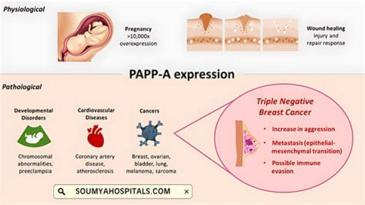 What is papp course?
