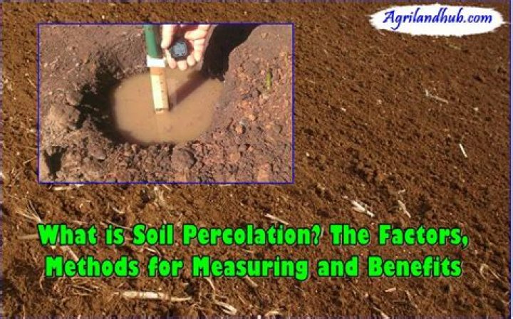 What is percolation in soil?