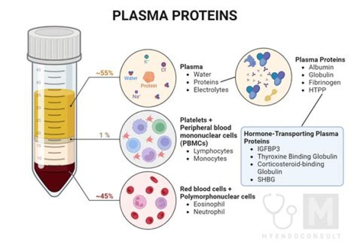 What is plasma microblast?