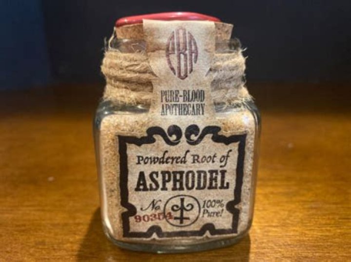 What is powdered root of asphodel?