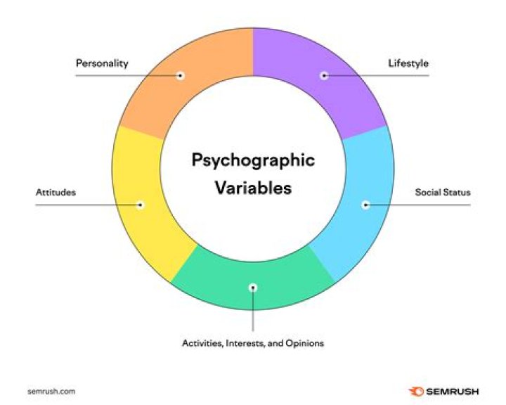 What is psychographic profile?